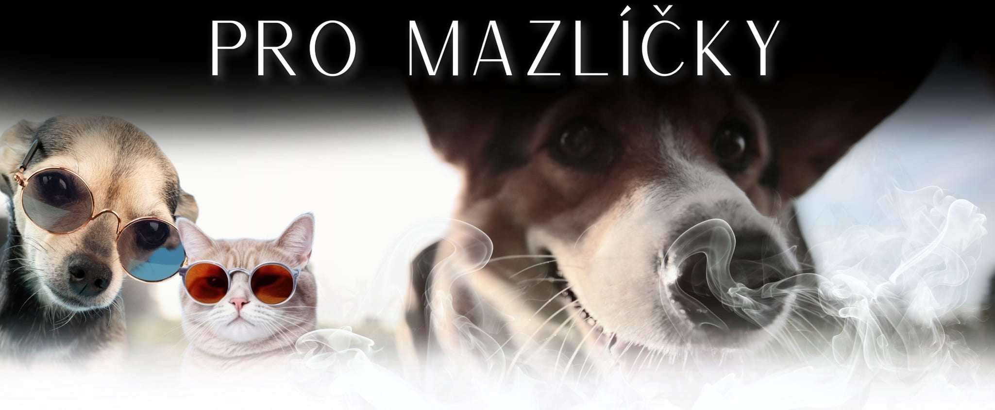 Darky-pro-mazlicky-mobil